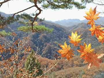 白小姐今晚特马期期准，深度解析与预测（第112期）,白小姐今晚特马期期准六112期 07-22-33-35-38-46N：17