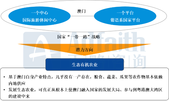 新澳精选资料免费提供，探索第029期的数字奥秘与策略分析,新澳精选资料免费提供开029期 04-06-09-13-23-30D：49