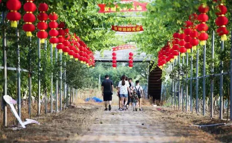 新奥彩最新免费资料149期，探索幸运之门，揭秘数字奥秘,新奥彩最新免费资料149期 13-17-31-35-39-47B：37