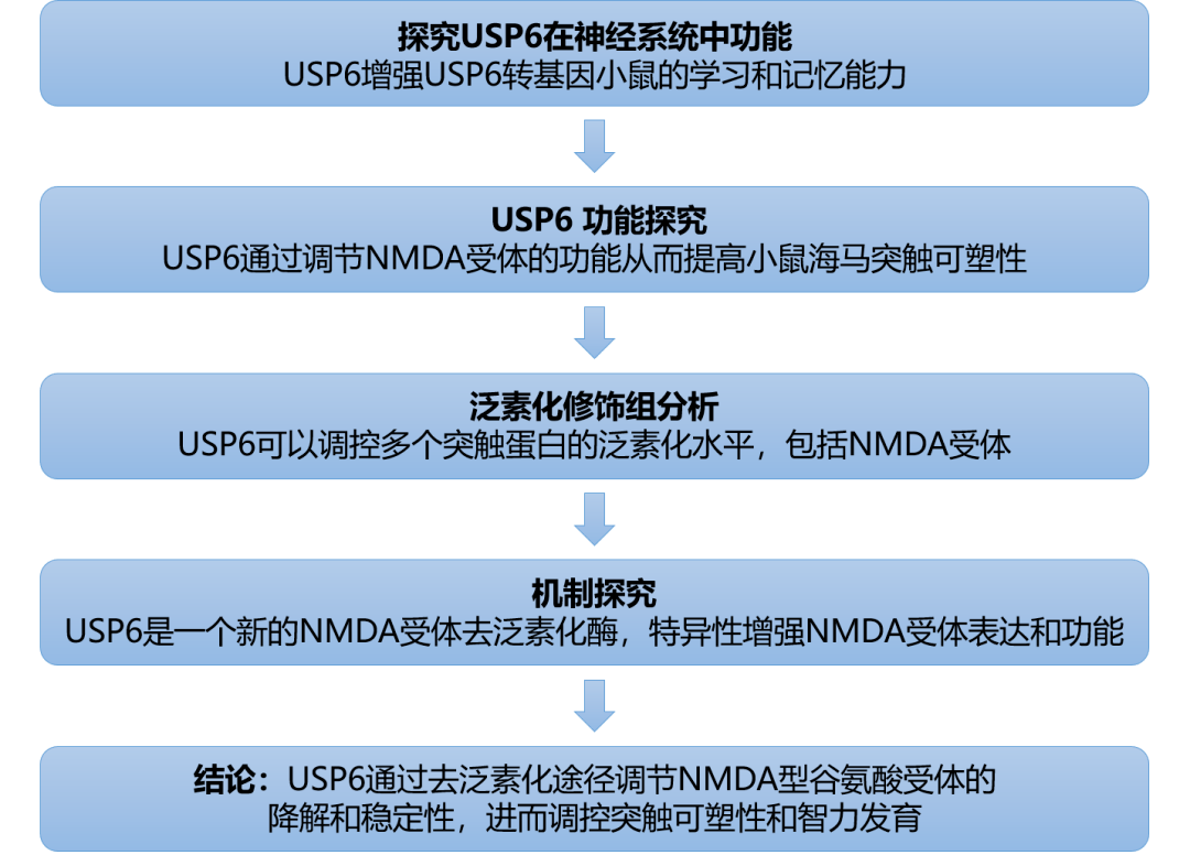 澳彩精准资料免费长期公开第093期，深度解析与策略探讨（标题）,澳彩精准资料免费长期公开093期 03-24-26-29-32-40A：20