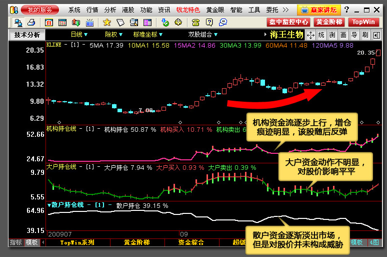 探索三肖必中特，解码三肖必中069期之谜,三肖必中特三肖必中069期 28-33-31-02-48-39T：17