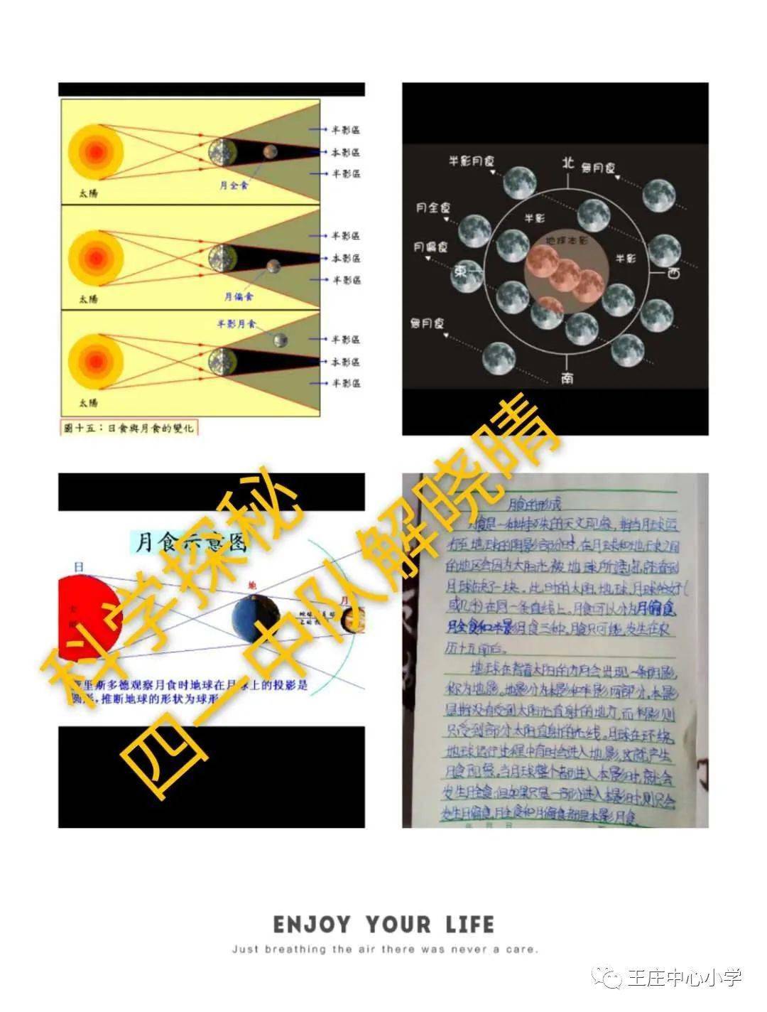 澳门天天开彩好正版挂牌图解析，探索第050期的数字奥秘（文章）,澳门天天开彩好正版挂牌图050期 02-08-20-33-36-44W：42