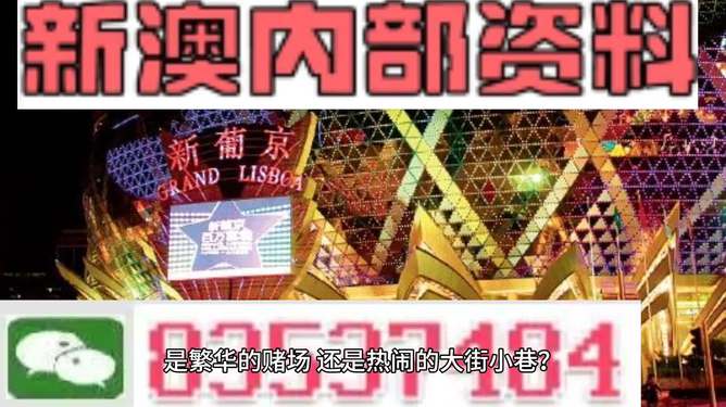 新澳资料大全正版2025金算盘123期详解，探索数字世界的秘密与机遇,新澳资料大全正版2025金算盘123期 10-20-30-38-40-45F：03