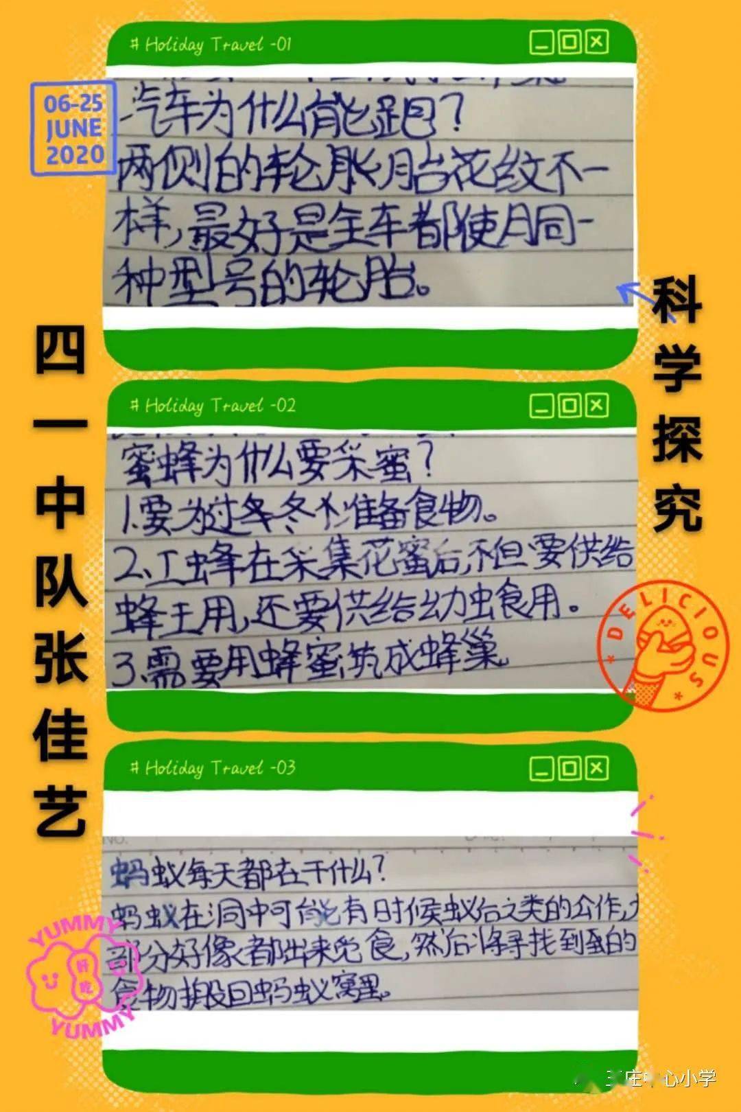 澳门天天开彩好正版挂牌图解析，探索第050期的数字奥秘（文章）,澳门天天开彩好正版挂牌图050期 02-08-20-33-36-44W：42