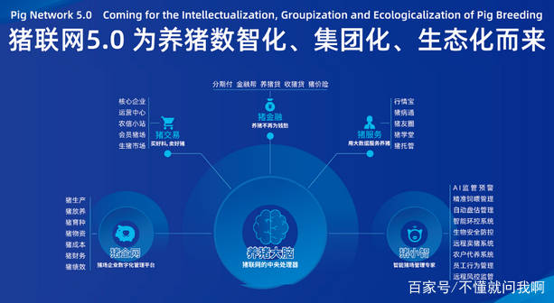 新奥内部精准大全第107期详解，揭秘数字背后的秘密与策略分析,新奥内部精准大全107期 03-07-15-23-33-48M：46